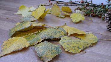 Dekorace do podzimního truhlíku - suché listí