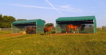 Shelter for horses 6x3m