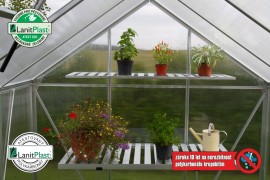 Greenhouse VITAVIA VENUS 2500 PC 4 mm silver