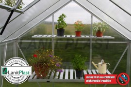 Greenhouse VITAVIA VENUS 2500 PC 4 mm silver