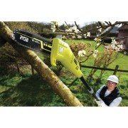 RPP Ryobi 750 with a pruning saw with electric motor