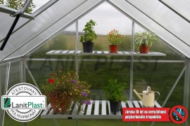 Greenhouse VITAVIA VENUS 2500 PC 4 mm green