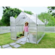 Palram Essence 8x12 silver polycarbonate greenhouse