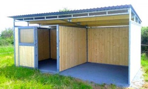Box for horses 3.5 x 3.5 m with shelter 3.5 x 3.5 m