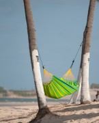 Hammock - FOREST - green color