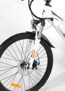 Electric bicycle Isabel II 10Ah