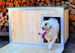 Shed for dog insulated 130x80x80cm