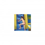 Bouncy castle - Water aqua park