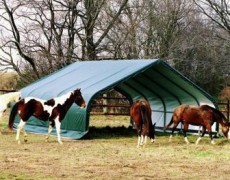 Shelter for horses Šemík 680x730x380cm 50m²