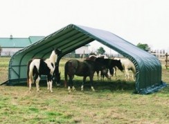 Shelter for horses Železník 40,9 m²