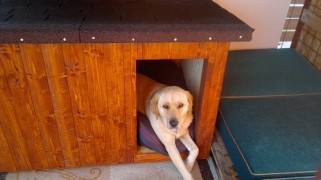 Shed for dog insulated series 195x105x100cm