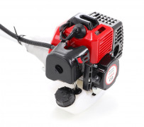 Brushcutter Vega C43