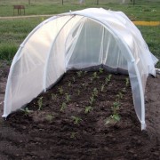 Tunnel 4 m plastic sheet Growtec