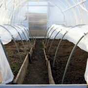 Tunnel 4 m plastic sheet Growtec