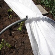 Tunnel 4 m plastic sheet Growtec