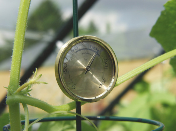 hanging hygrometer