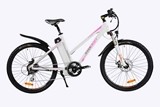 Electric bicycle Isabel II 12Ah