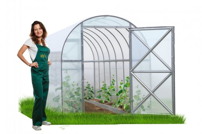 Greenhouses 4.2 x 1.56 m perchin