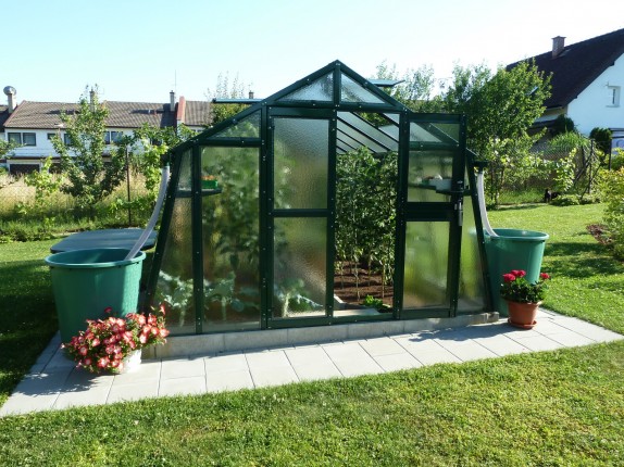 Limes Galvanized greenhouse L 6