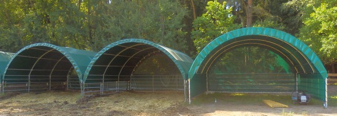 Shelter for cattle, size 6 x 6 m