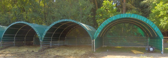 Shelter for cattle, size 6 x 6 m