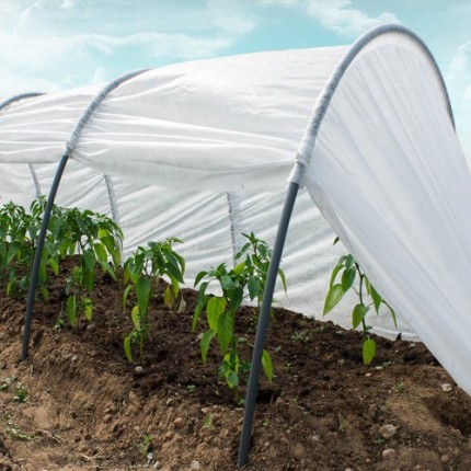 Tunnel 4 m plastic sheet Growtec