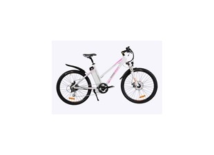 Electric bicycle Isabel II 12Ah