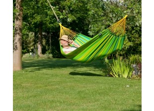 Hammock - FOREST - green color