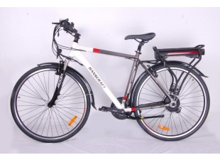 Electric bicycle Trekmen II 10Ah